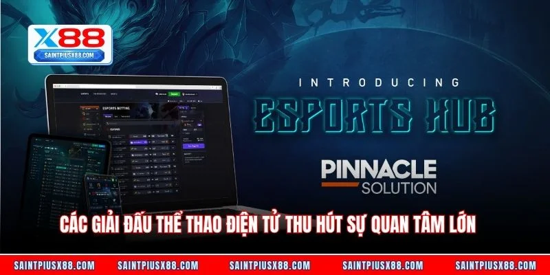 Các giải đấu thể thao điện tử thu hút sự quan tâm lớn