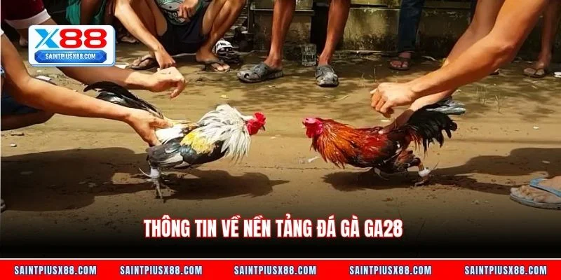 Thông tin về nền tảng đá gà GA28
